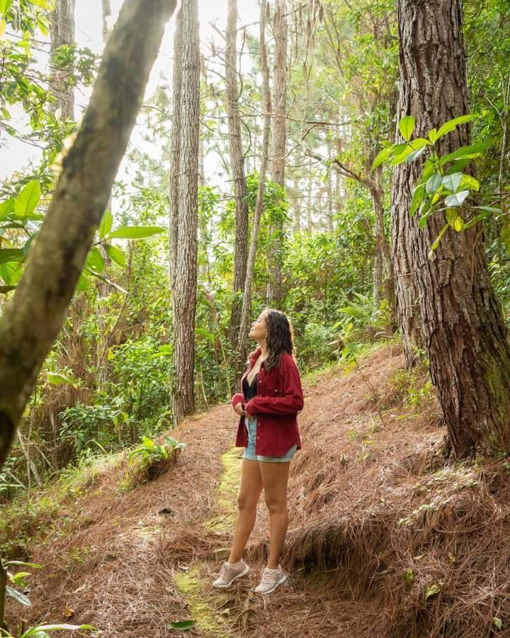 Cabanas El Bosque Turrialba Bagian luar foto