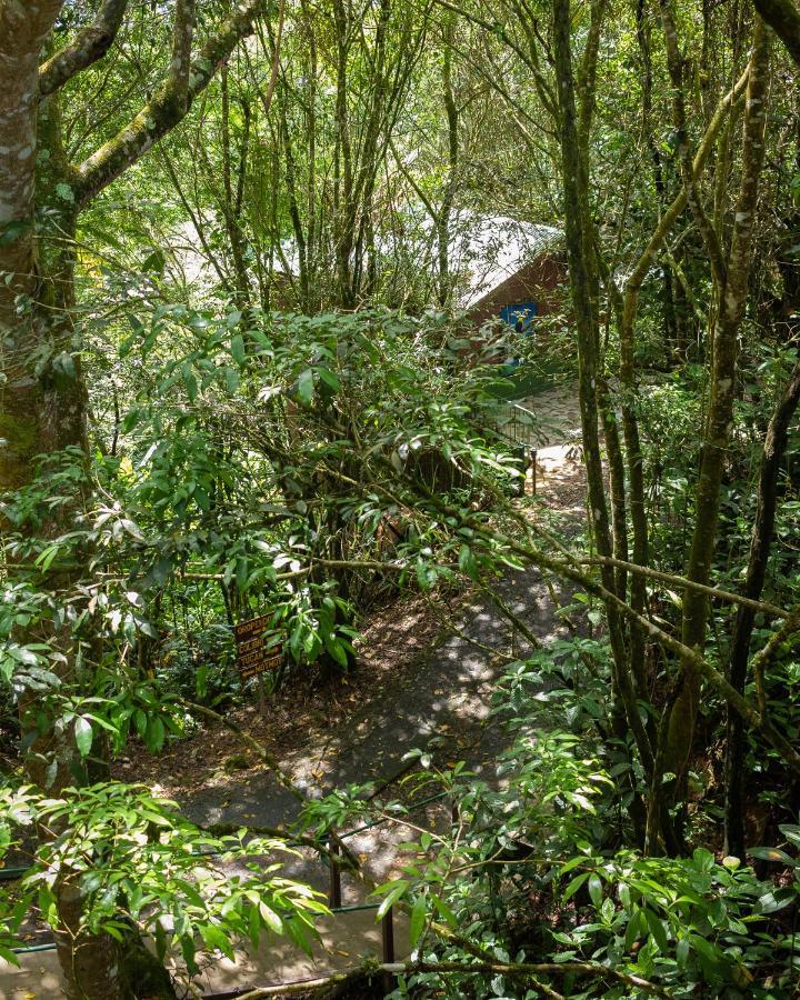 Cabanas El Bosque Turrialba Bagian luar foto